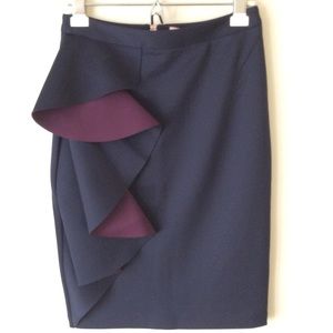 NWT Ted Baker Skirt